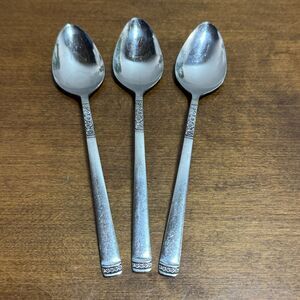 Lucas Teaspoon Black Accent Stainless Steel Flatware Set of 3